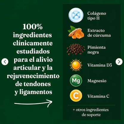 Renovafemme – Movilidad y confort articular en la menopausia