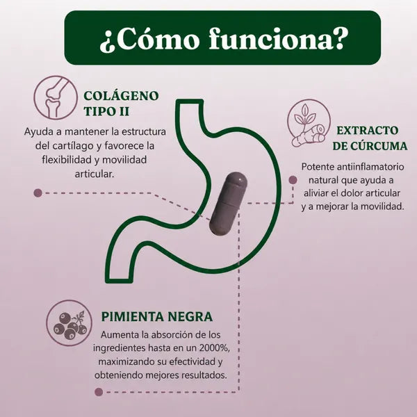 Renovafemme – Movilidad y confort articular en la menopausia